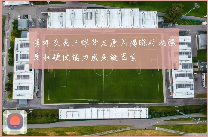 黄蜂交易三球背后原因揭晓对抗强度和硬仗能力成关键因素