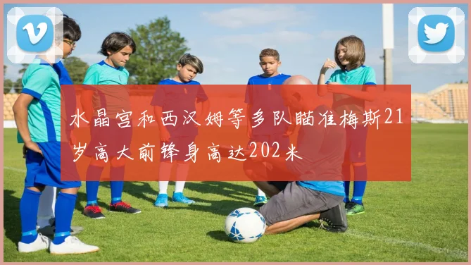 水晶宫和西汉姆等多队瞄准梅斯21岁高大前锋身高达202米